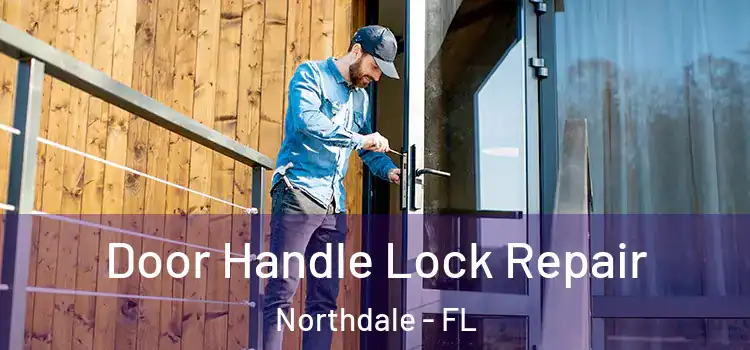 Door Handle Lock Repair Northdale - FL