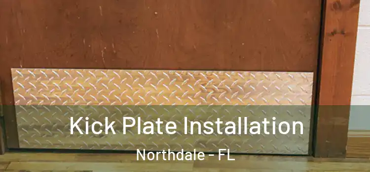 Kick Plate Installation Northdale - FL