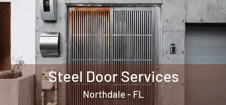 Steel Door Services Northdale - FL